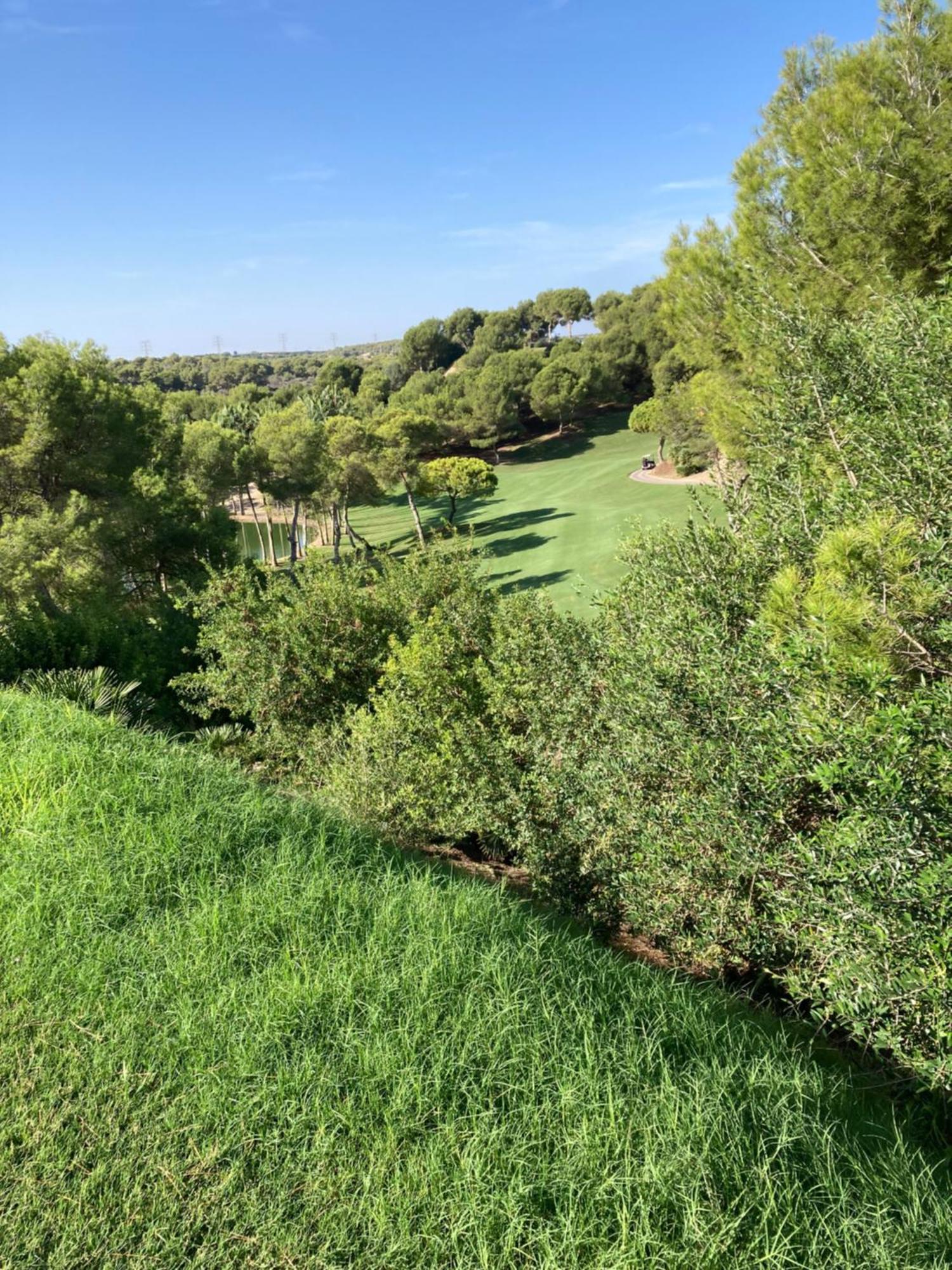 Villa Martin Secure Complex Two Bed Apartment With Access To Six Pools サン・ミゲル・デ・サリーナス エクステリア 写真